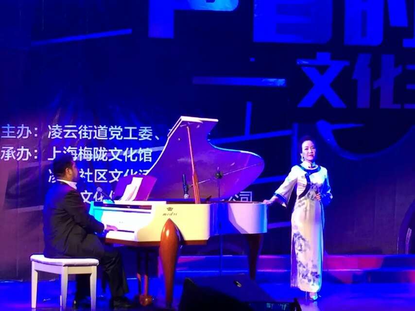 美德瑞钢琴 之 2015上海市民文化节